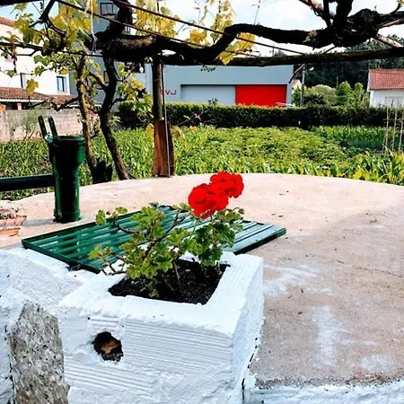 Apartamento Casinha Da Avó Rosário Juncal (Leiria)