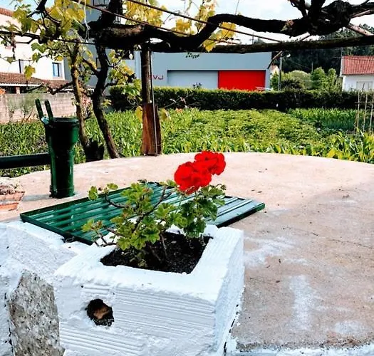 Lejlighed Casinha Da Avo Rosario Juncal (Leiria)