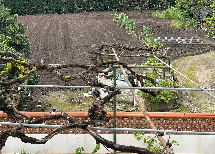 Lejlighed Casinha Da Avo Rosario Juncal (Leiria)